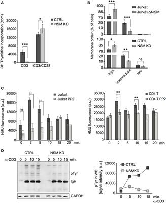 The Neutral Sphingomyelinase 2 Is Required to Polarize and Sustain T Cell Receptor Signaling